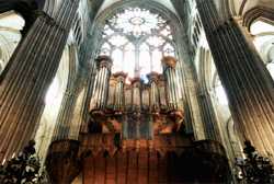 grand orgue de la cathedrale