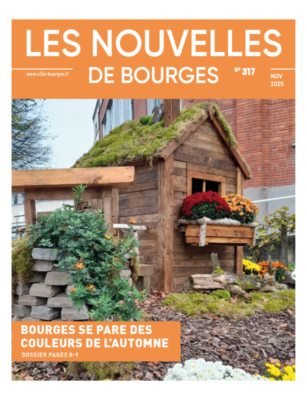 N° 317 novembre 2025